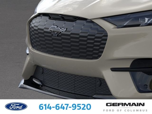 2025 Ford Mustang Mach-E GT - Photo 21