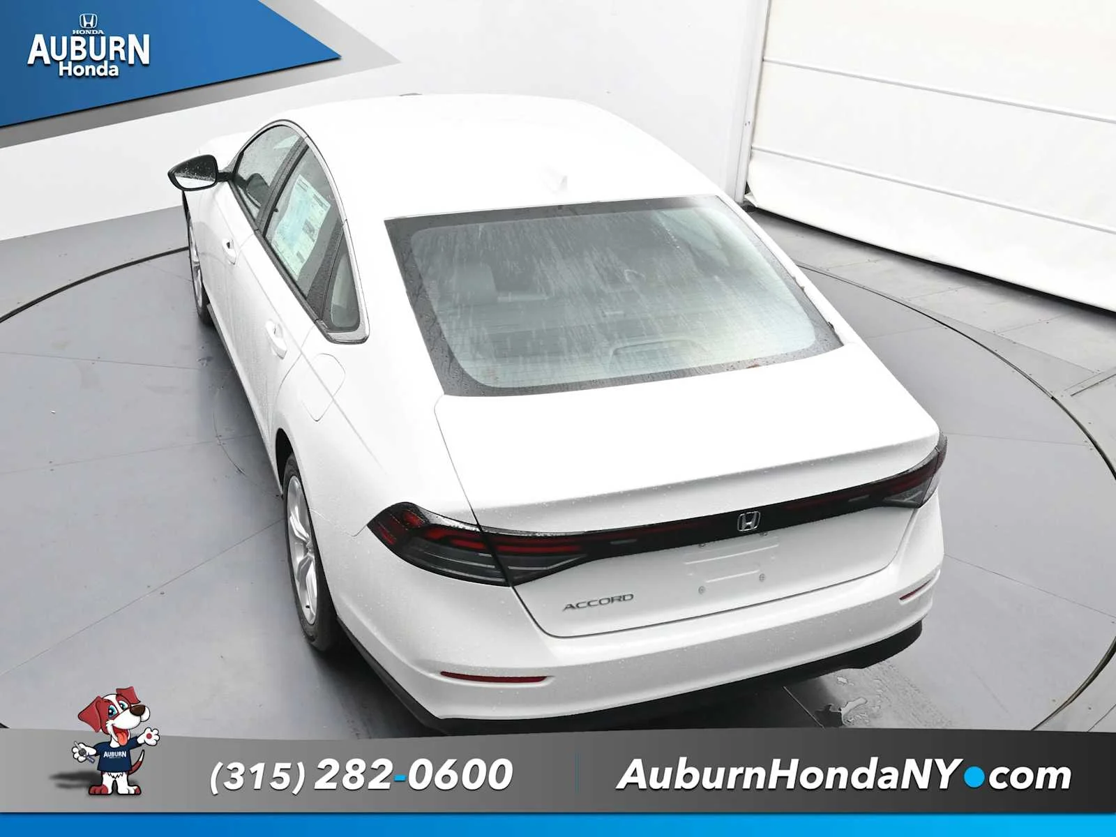 New 2025 Platinum White Pearl Honda LX image 28
