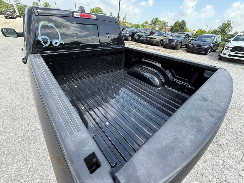 New 2026 Diamond Black Crystal Pearl-Coat Exterior Paint RAM Express image 8