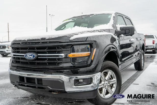 2024 Ford F-150 XLT 4x4 SuperCrew 145 in's photo