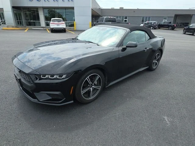 Used 2024 Shadow Black Ford EcoBoost Premium image 13