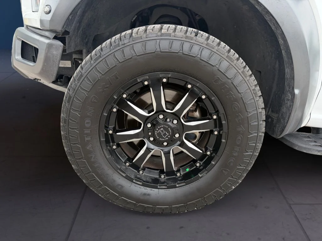 Used 2020 White Ford Raptor image 9