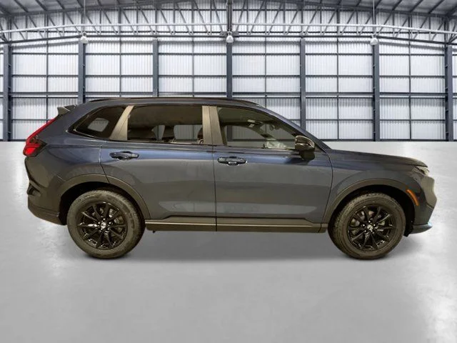 New 2026 Blue Honda Sport-L image 8