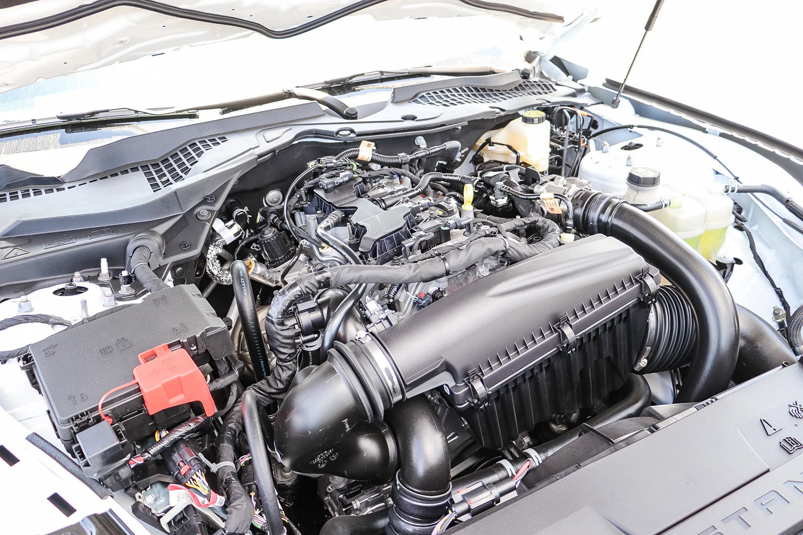 New 2026 Oxford White Ford EcoBoost® Fastback image 14