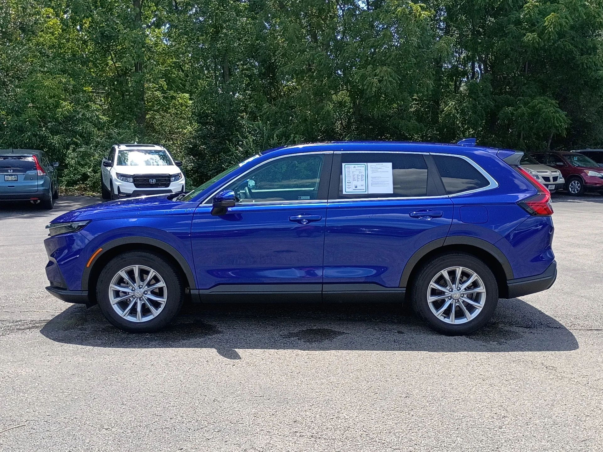 Certified Used 2024 BLUE Honda EX-L image 6