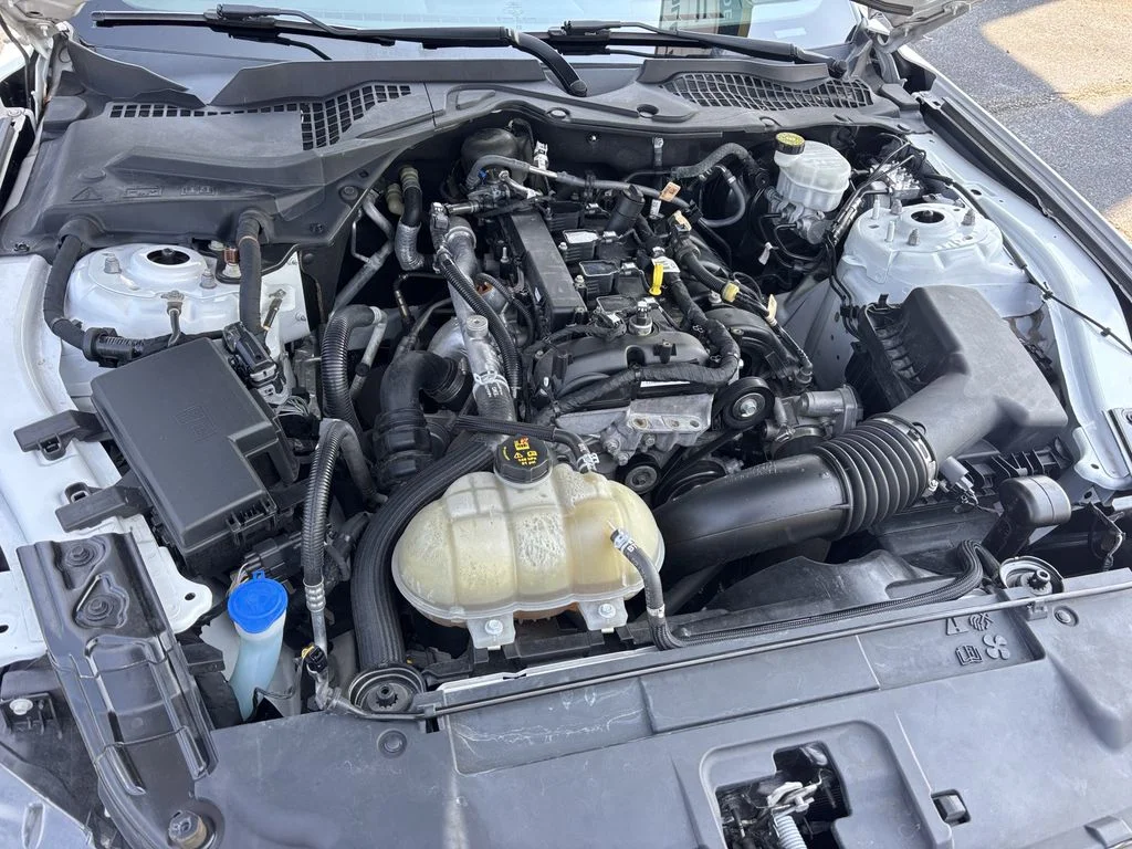 Used 2021 White Ford EcoBoost image 14