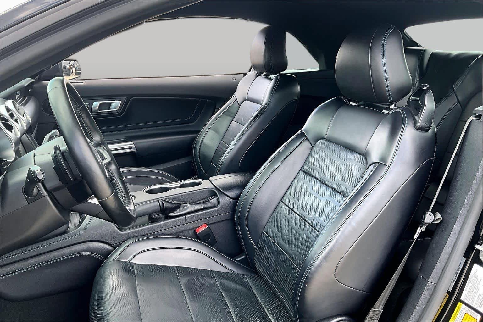 Used 2019 Shadow Black Ford EcoBoost Premium image 7