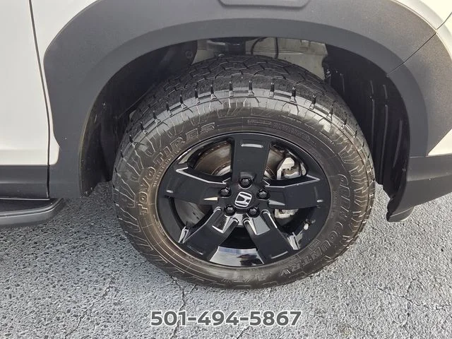 Used 2024  Honda Black Edition image 18