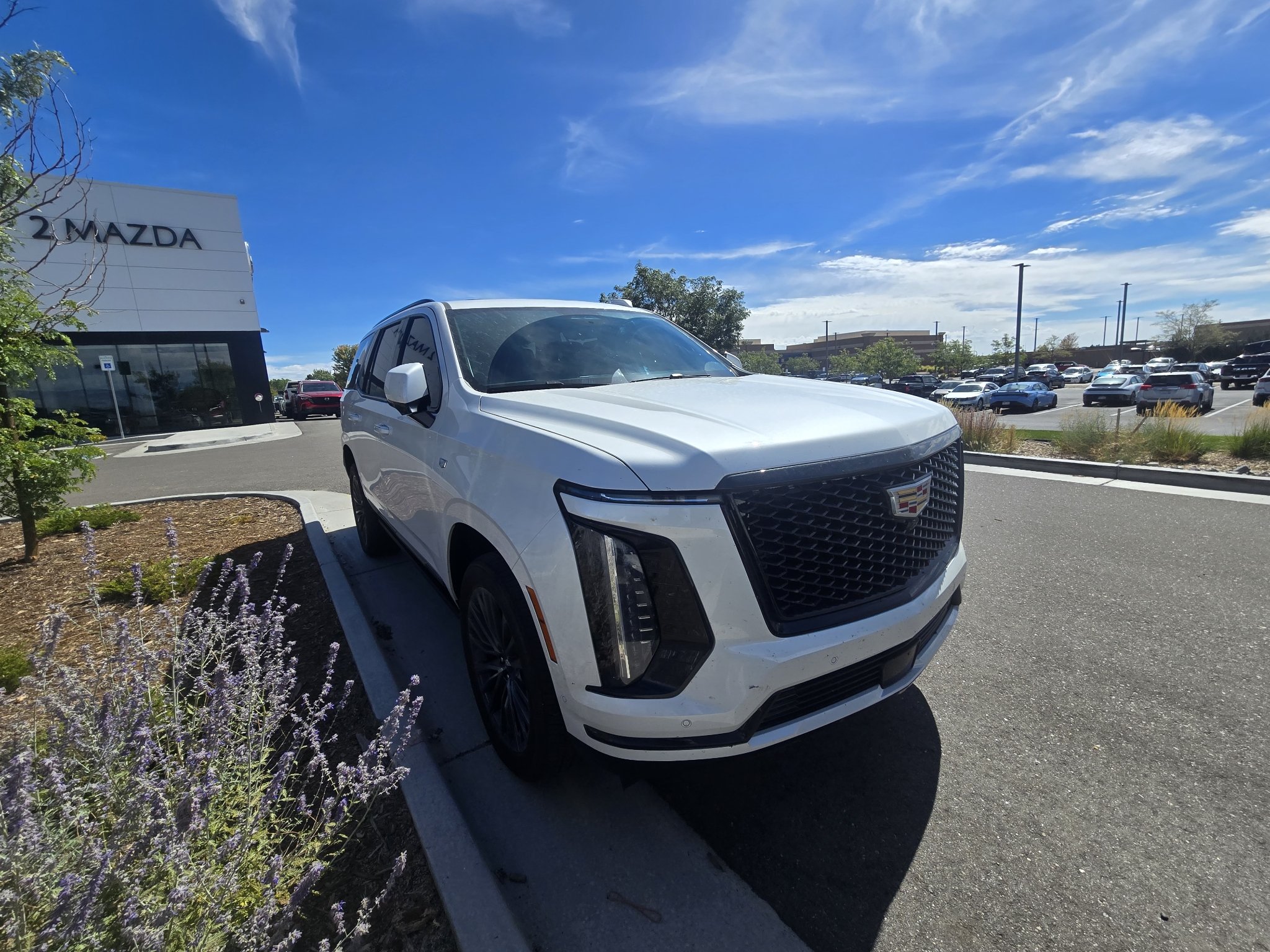 Used 2025 Crystal White Tricoat Cadillac 4WD Sport Platinum image 18