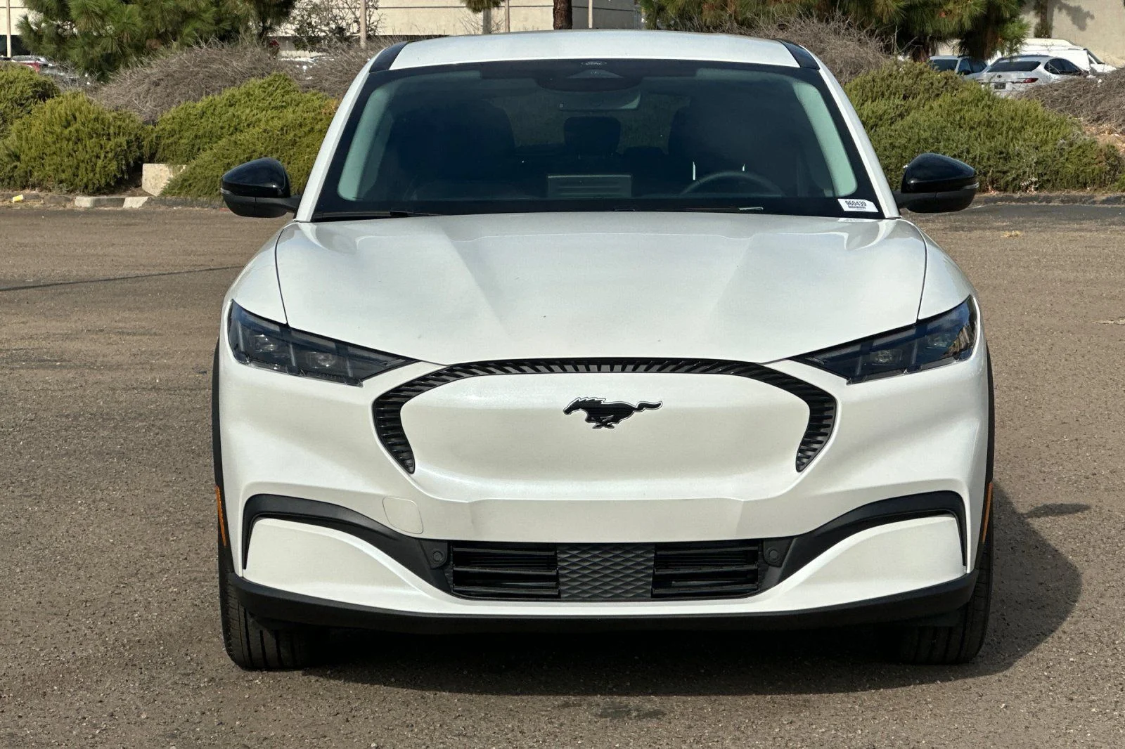 New 2026 Star White Metallic Tri-coat Ford Select image 5