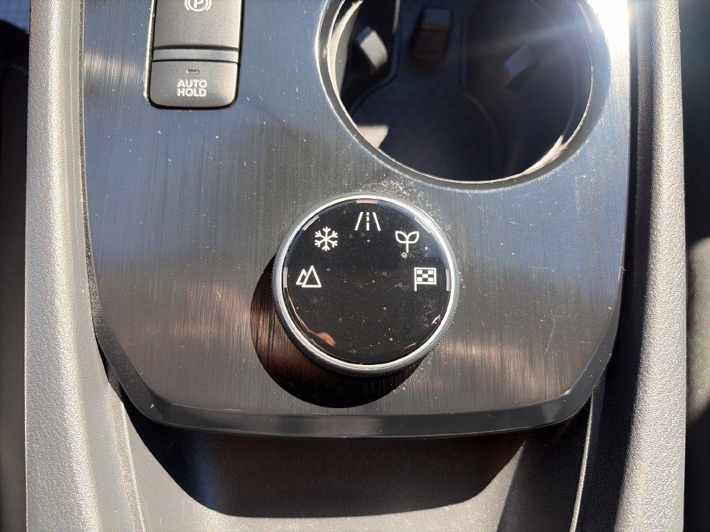 Used 2024 Gun Metallic Nissan S image 34