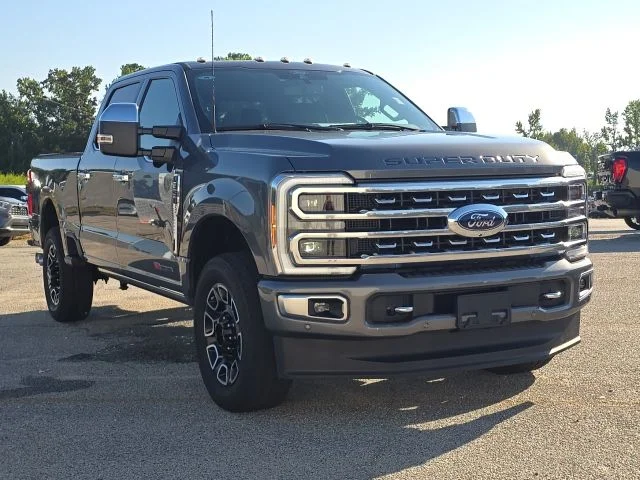 Used 2024 Gray Ford Platinum image 7