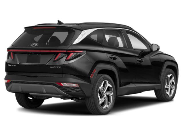Used 2024 Black Pearl Hyundai Limited image 2