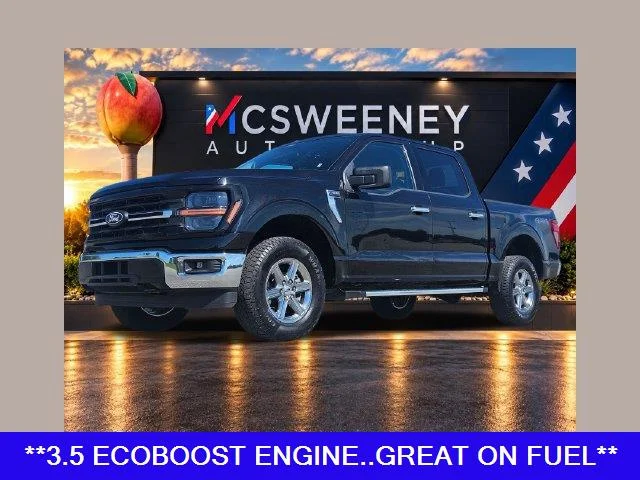 Used 2025 Agate Black Ford XLT image 1