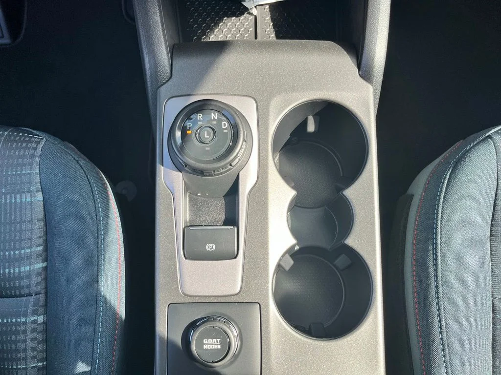 New 2026 Gray Ford Heritage image 19