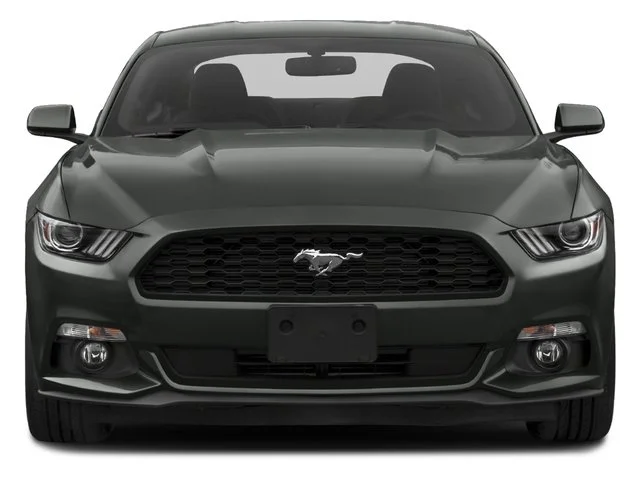 Used 2017 Magnetic Ford EcoBoost Premium image 4