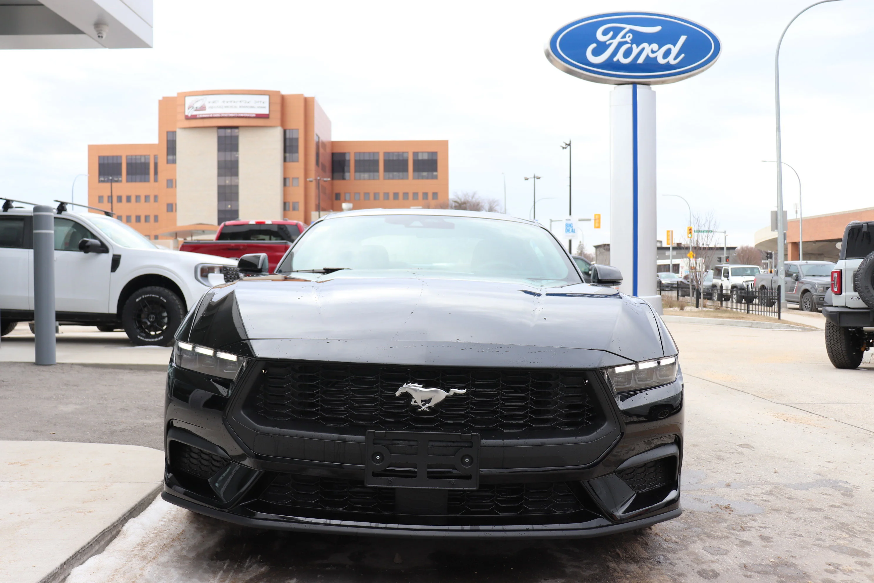 New 2026 SHADOW BLACK Ford EcoBoost Premium image 2