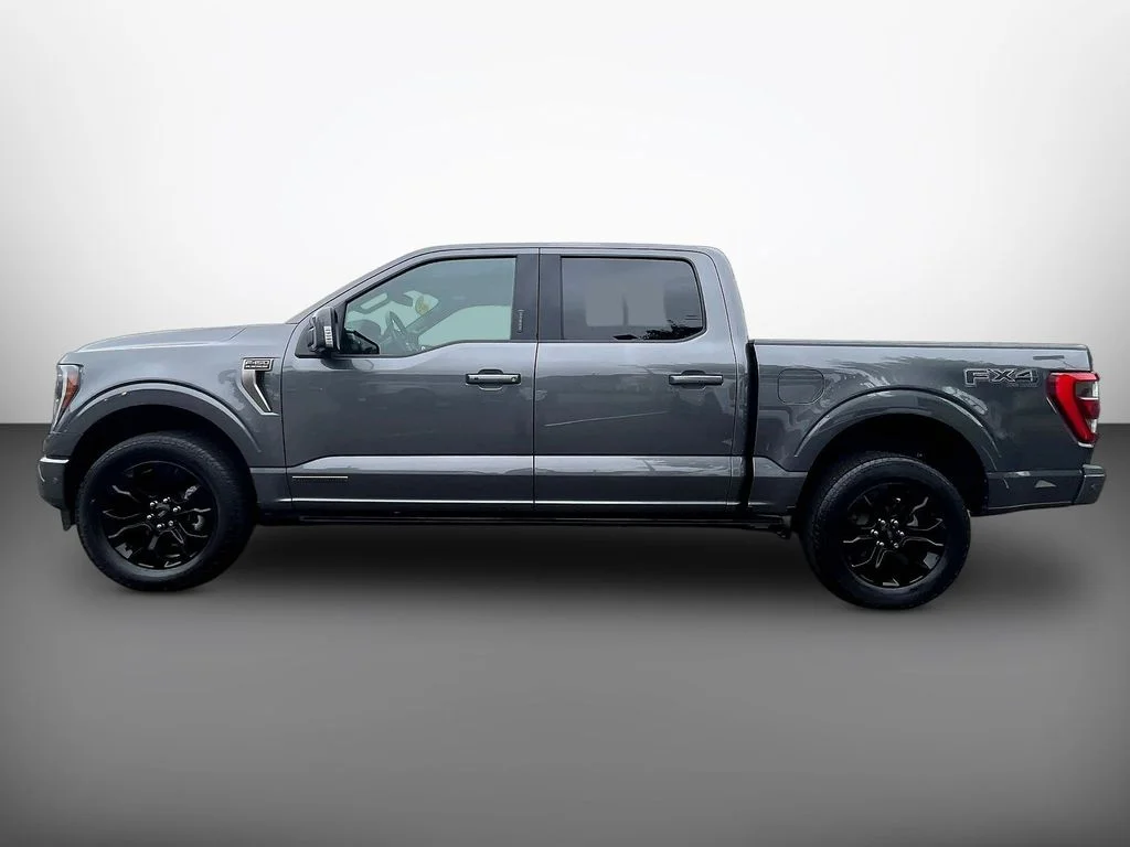 Used 2022 Gray Metallic Ford Platinum image 4