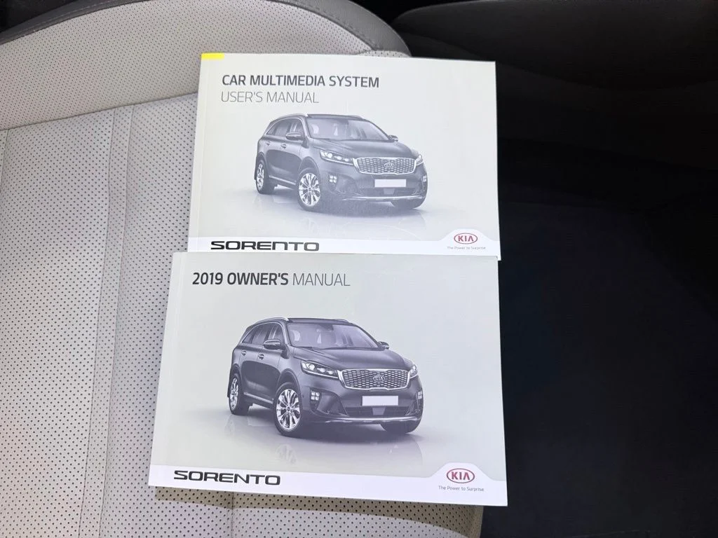 Used 2019 Snow White Pearl Kia SX image 44