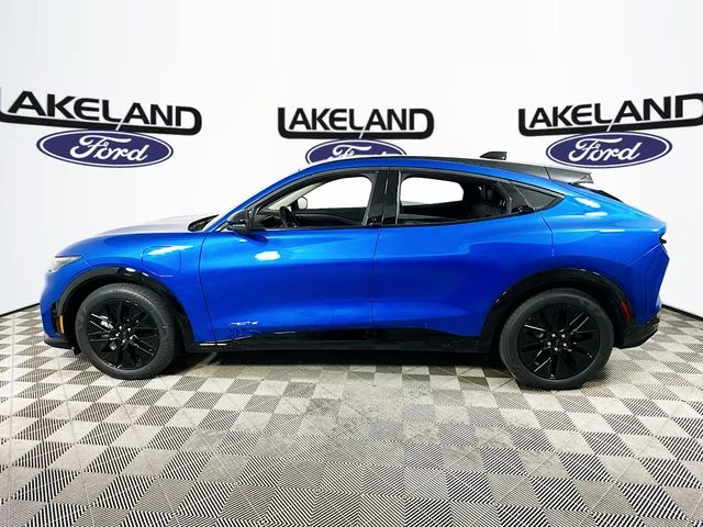 New 2026 Blue Ford Premium image 6