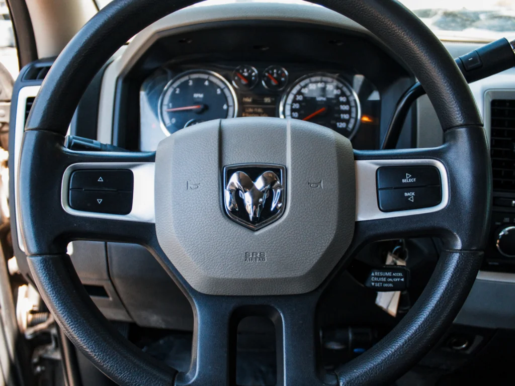 Used 2009 Mineral Gray Metallic Clearcoat Dodge SLT image 11