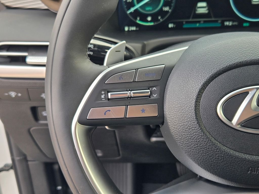 2025 Hyundai Palisade Calligraphy - Photo 41