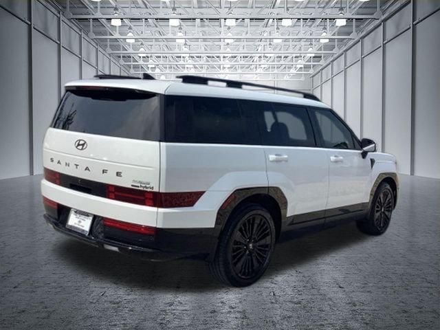 2025 Hyundai Santa Fe Calligraphy - Photo 6