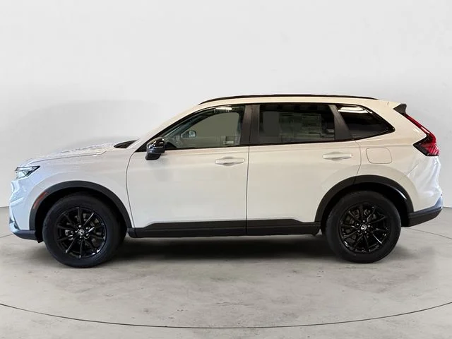 New 2026 Platinum White Pearl Honda Sport-L image 2