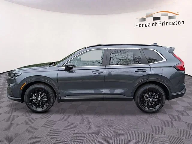 New 2026 Gray Honda Sport image 6