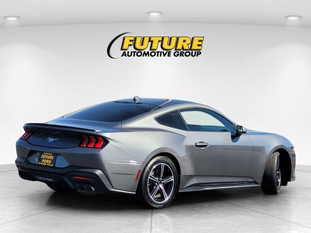 Used 2024 Gray Ford EcoBoost Premium image 4