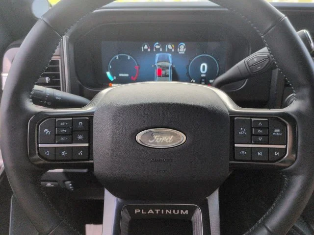 Certified Used 2025 Gray Metallic Ford Platinum image 28