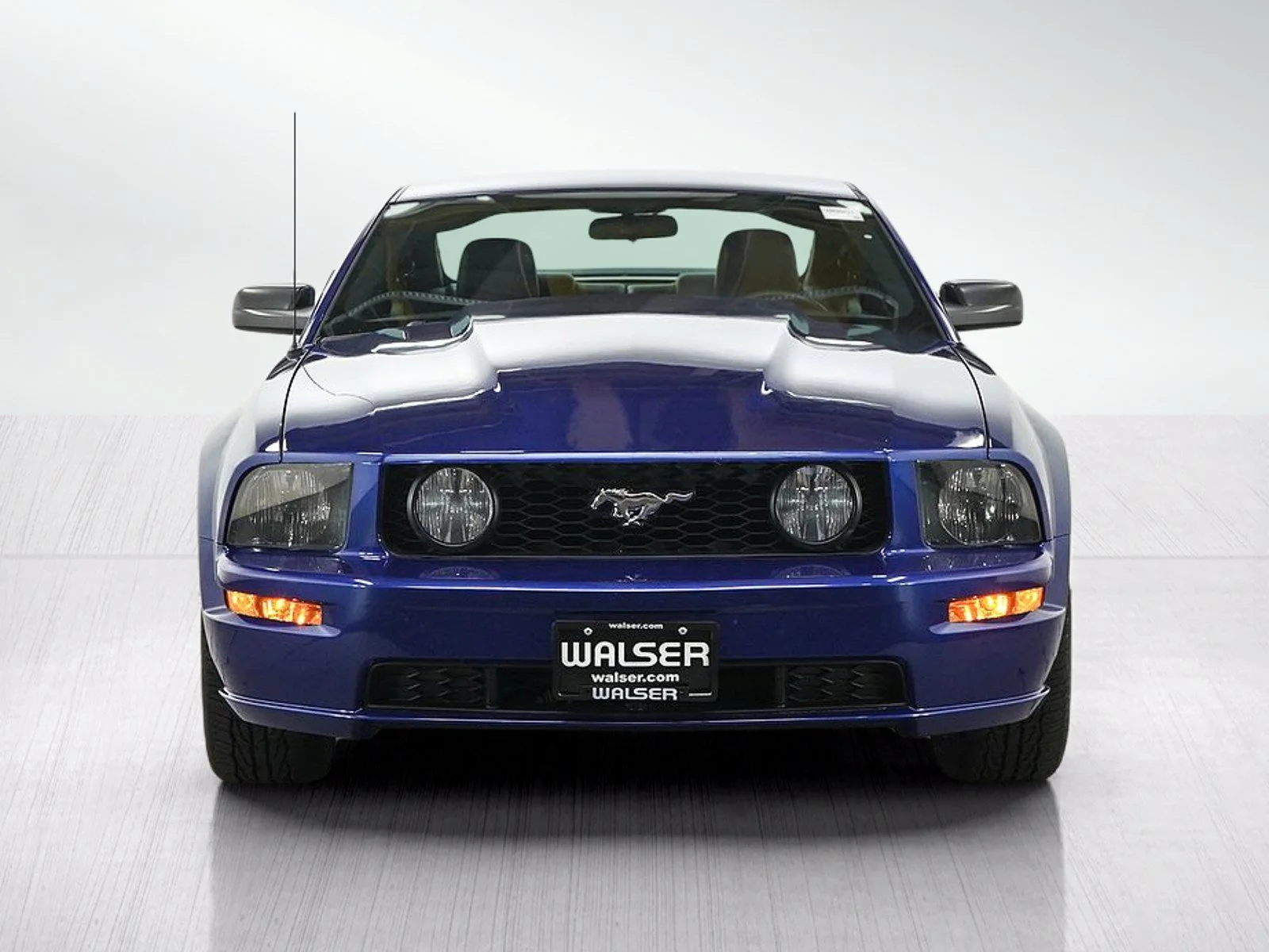 Used 2005  Ford GT Premium image 8