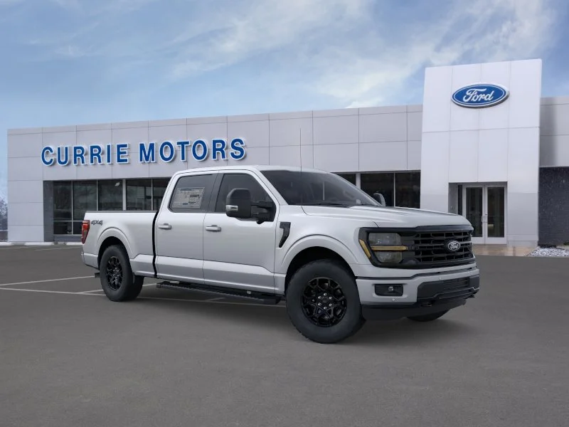 New 2026 Iconic Silver Metallic Ford LIFTED image 27