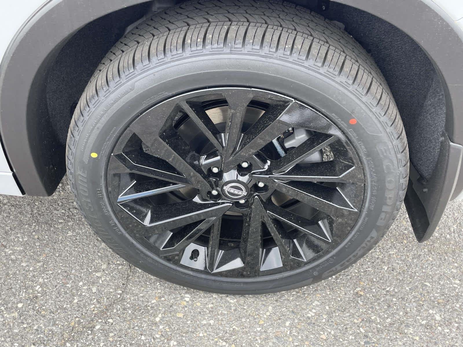 New 2026 Alpine Frost Nissan Platinum image 11