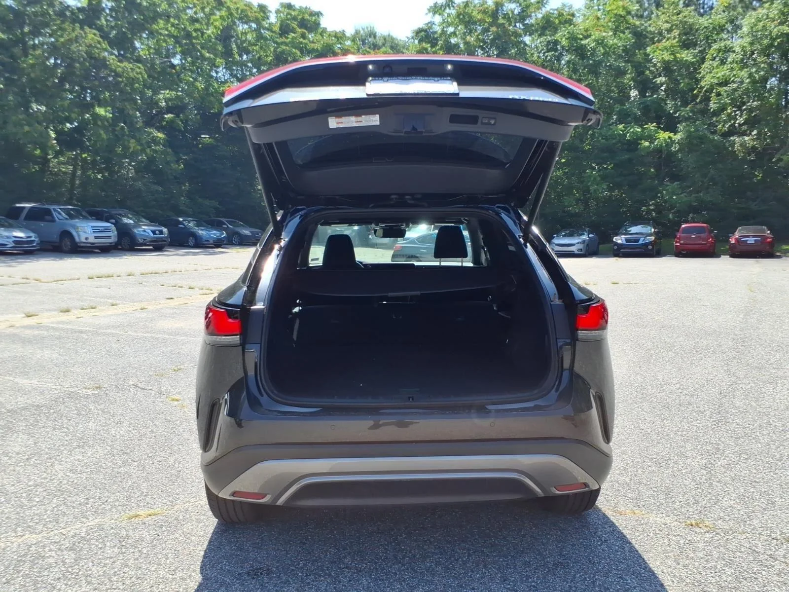 Used 2023 Caviar Lexus RX 350 Premium image 23