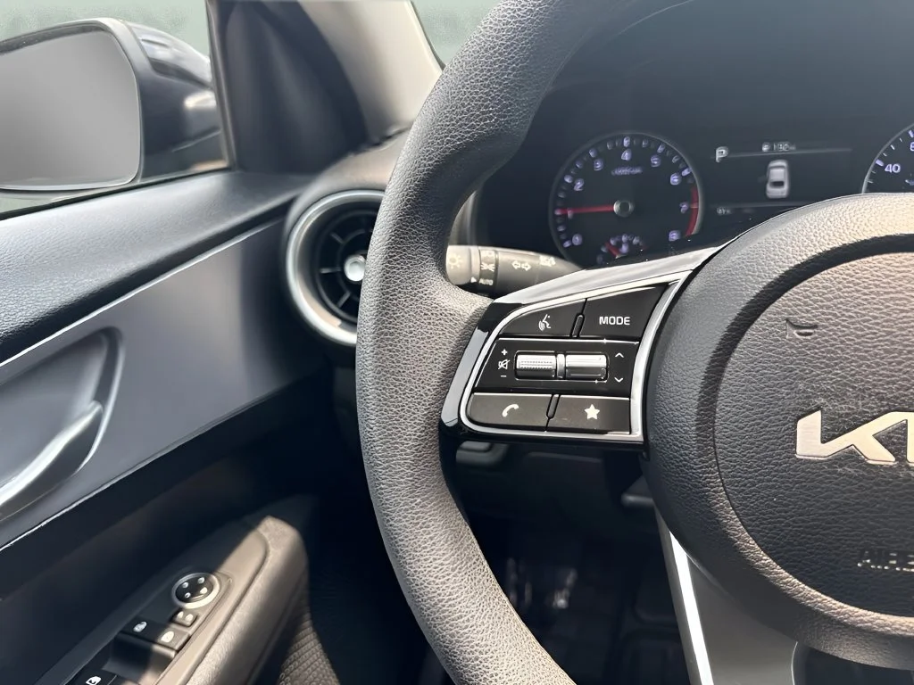 Used 2024  Kia LXS image 13