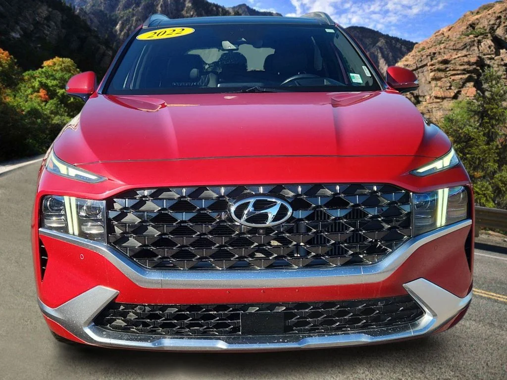 Used 2022 Red Hyundai Calligraphy image 5