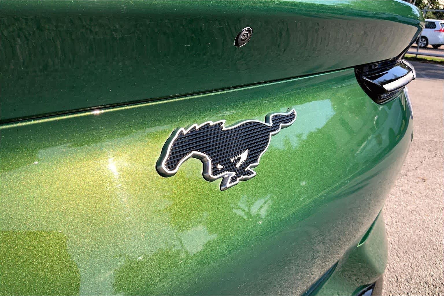 Used 2024 Eruption Green Metallic Ford Premium image 9