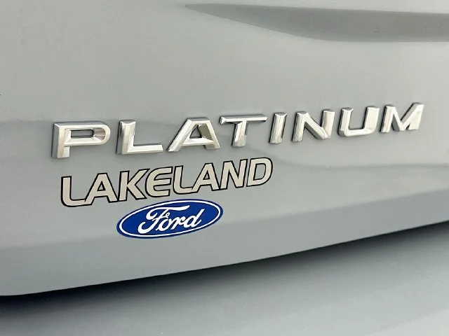New 2026 Ford Expedition Platinum