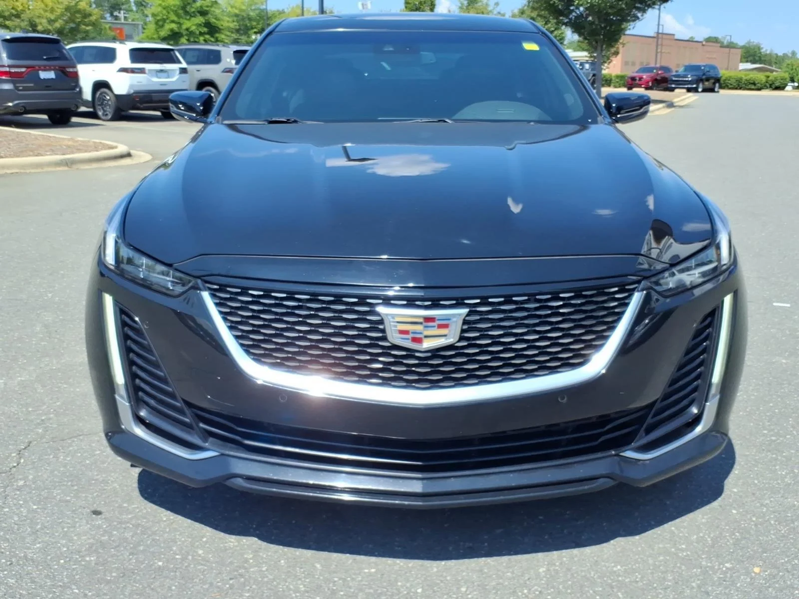 Used 2023 Black Raven Cadillac Premium Luxury image 13