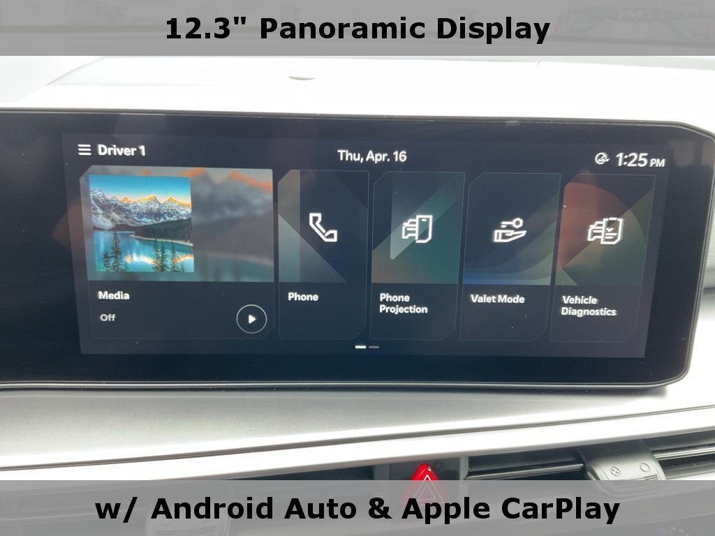 Used 2025 Panthera Metal Kia LX image 25