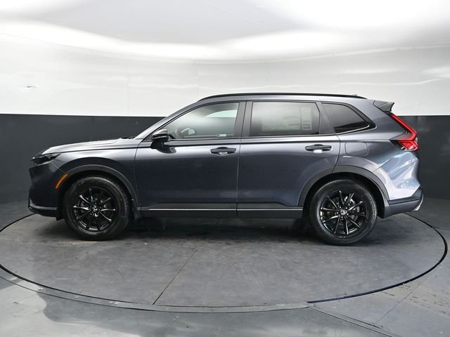 New 2026 Meteorite Gray Metallic Honda Sport-L image 8