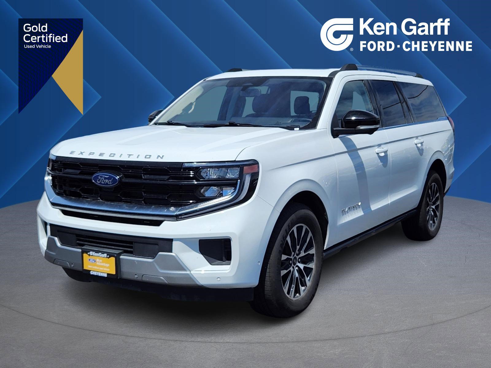 2025 Ford Expedition Platinum MAX 4x4's photo