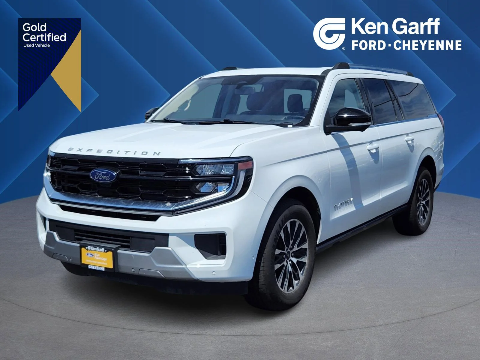 2025 Ford Expedition Platinum MAX 4x4's photo