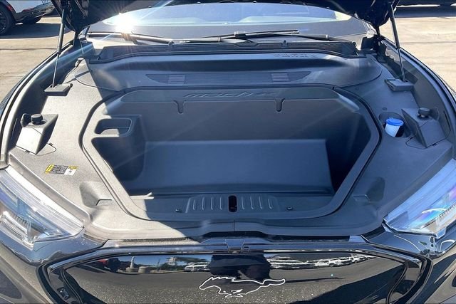 New 2026 Shadow Black Ford Premium image 10