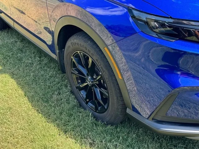 Used 2023 Blue Honda Sport image 10