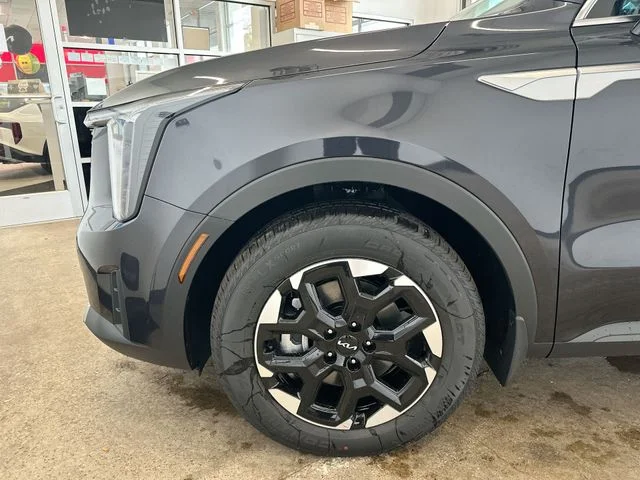 New 2026 Panthera Metal Kia S image 21