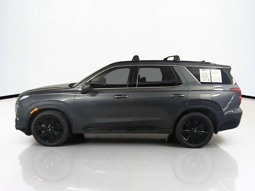 2025 Hyundai Palisade XRT - Photo 8