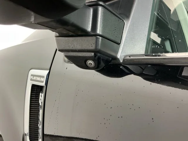 Used 2019 Black Ford Platinum image 12
