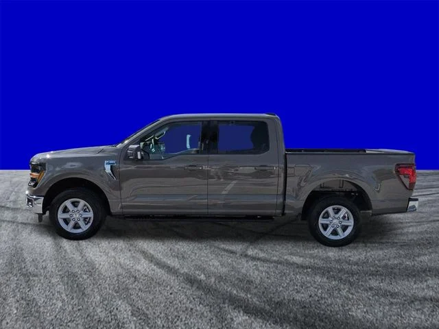 New 2026 Marsh Gray Ford XLT image 7